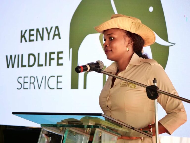Exclusive,Wildlife PS Sylvia Museiya On The Spot Over The Dubious Cancellation Of Sh6.7M Tender